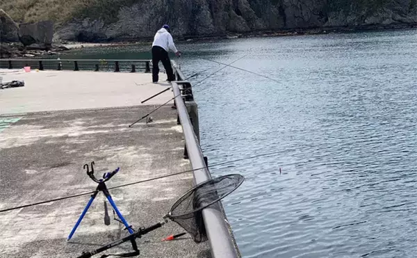 「伊豆のアングラーがオススメする【夕日の絶景】が楽しめる釣り場紹介：妻良の堤防」の画像