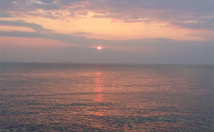 伊豆のアングラーがオススメする【夕日の絶景】が楽しめる釣り場紹介：妻良の堤防