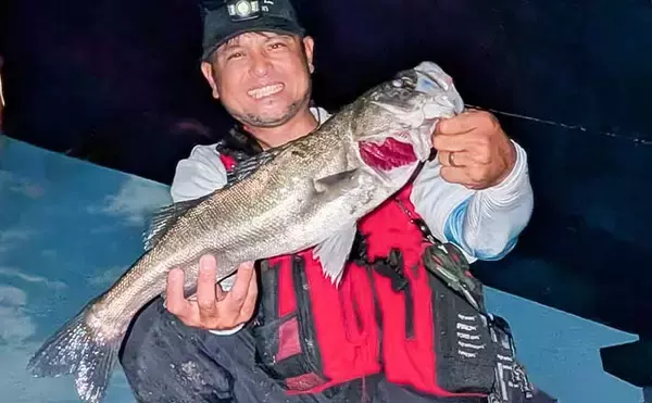 庄内川のリバーシーバスゲームで53cmヒット！【愛知】明暗の境界でスイッチヒッター炸裂