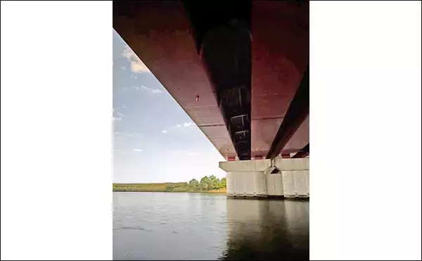 「庄内川のリバーシーバスゲームで53cmヒット！【愛知】明暗の境界でスイッチヒッター炸裂」の画像