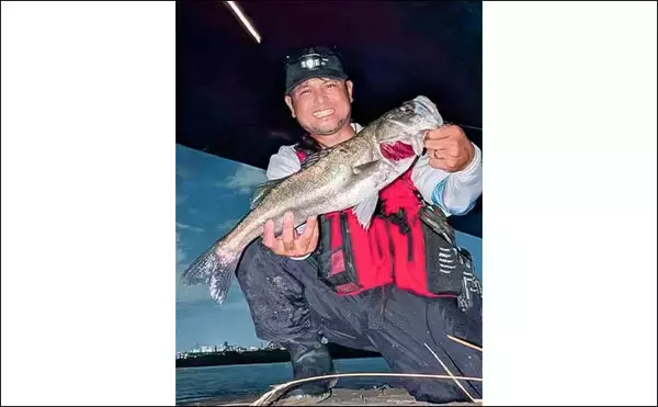 「庄内川のリバーシーバスゲームで53cmヒット！【愛知】明暗の境界でスイッチヒッター炸裂」の画像