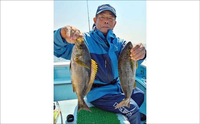 大山沖で35cmオーバー良型イサキが好ヒット！【武丸・愛知】トップは17匹