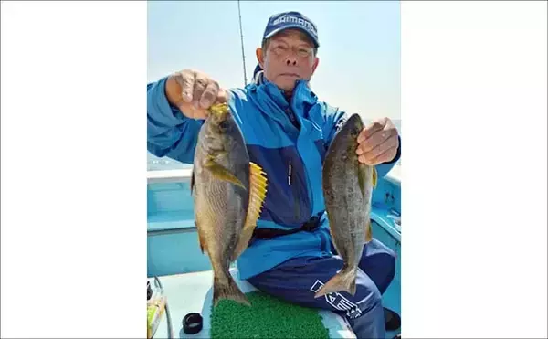 「大山沖で35cmオーバー良型イサキが好ヒット！【武丸・愛知】トップは17匹」の画像