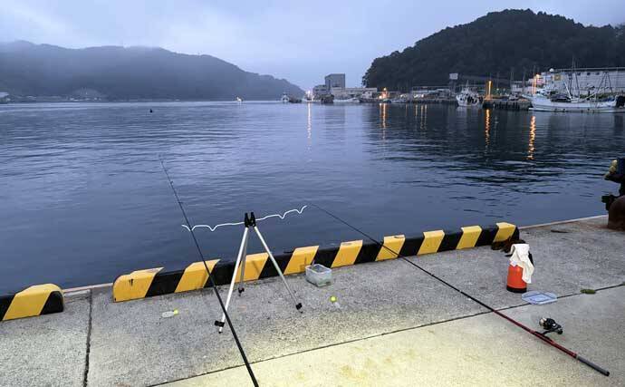 宮城遠征で良型マイワシとサバをキャッチ　ぶっこみサビキ釣行をレポート