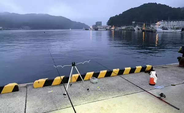 「宮城遠征で良型マイワシとサバをキャッチ　ぶっこみサビキ釣行をレポート」の画像
