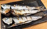 「宮城遠征で良型マイワシとサバをキャッチ　ぶっこみサビキ釣行をレポート」の画像8