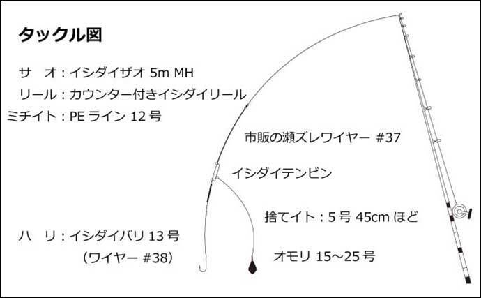 春のイシダイ釣り入門 道具 仕掛け 場所選び 釣り方を解説 22年2月13日 エキサイトニュース