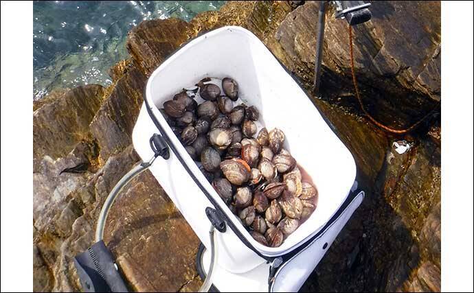 春のイシダイ釣り入門 道具 仕掛け 場所選び 釣り方を解説 22年2月13日 エキサイトニュース 2 3