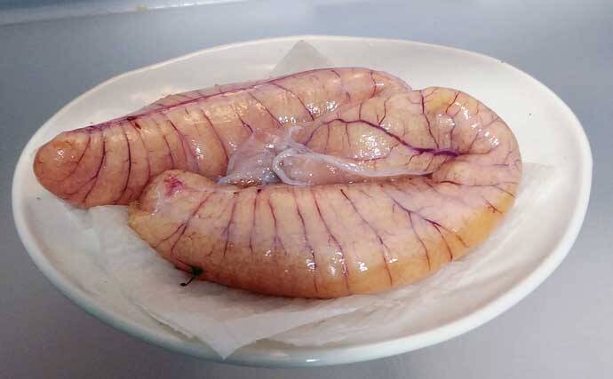 釣り人的 珍味レシピ 魚卵のカラスミ ボラ以外の魚でも作成可能 22年3月5日 エキサイトニュース 2 3