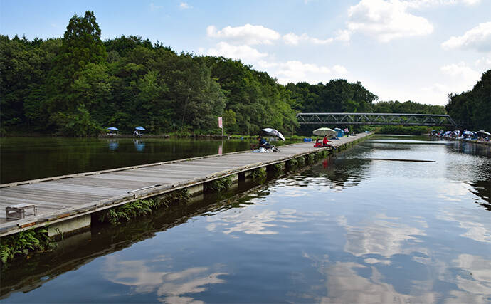 管理池で夏のヘラブナ釣りを満喫【愛知・ひだ池】子供も本命ゲットに笑顔