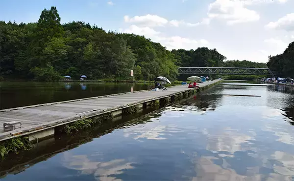 「管理池で夏のヘラブナ釣りを満喫【愛知・ひだ池】子供も本命ゲットに笑顔」の画像