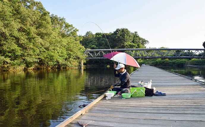 管理池で夏のヘラブナ釣りを満喫【愛知・ひだ池】子供も本命ゲットに笑顔