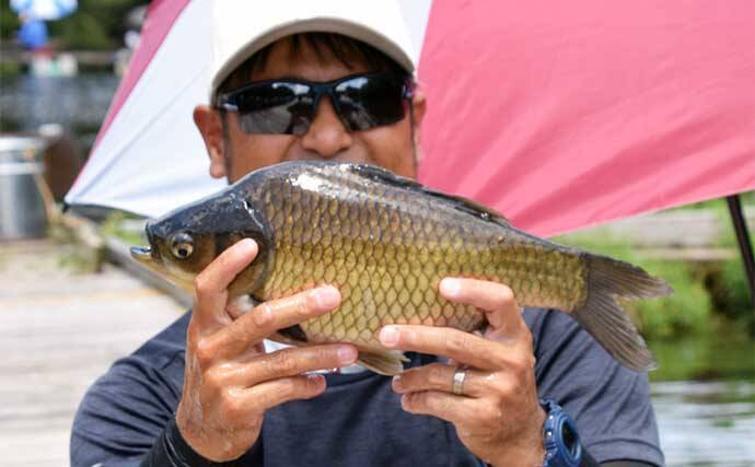 管理池で夏のヘラブナ釣りを満喫【愛知・ひだ池】子供も本命ゲットに笑顔