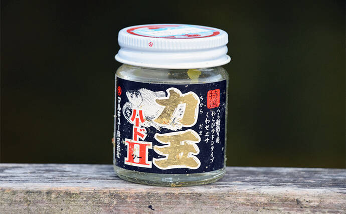 管理池で夏のヘラブナ釣りを満喫【愛知・ひだ池】子供も本命ゲットに笑顔