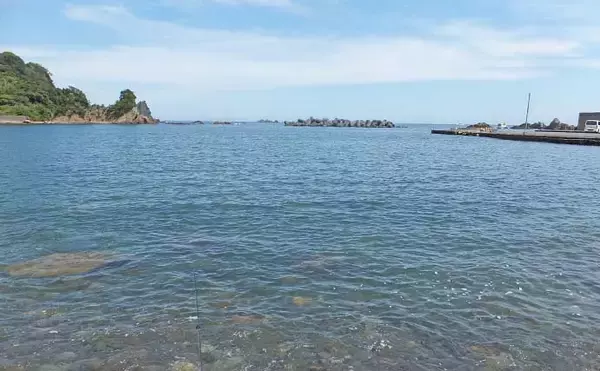 「陸っぱりライトルアー釣りで20cm級ショゴ（カンパチ）の入れ食いを堪能【静岡・南伊豆】」の画像