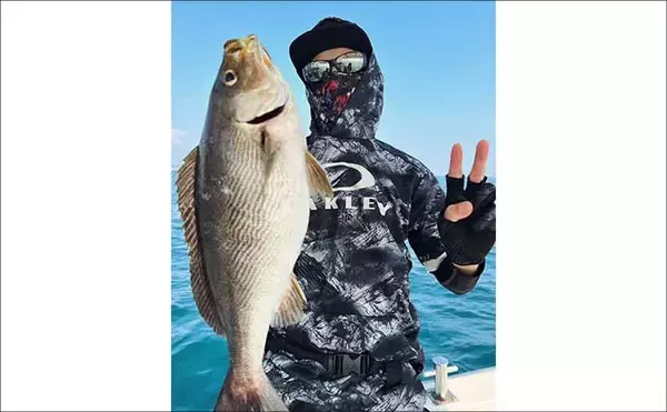 「【沖のルアー釣果速報】響灘のSLJで特大イサキ46cm浮上！（福岡）」の画像