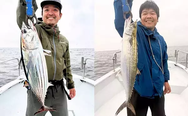 「【沖のルアー釣果速報】キャスティングゲームでサワラ＆サゴシ入れ食い！船中50匹と絶好調【愛知】」の画像