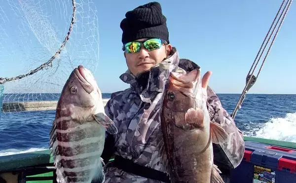 外房大原沖の泳がせ釣りで5.2kg特大マハタ浮上【千葉】活イワシに大型連発