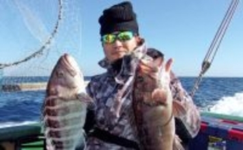 外房大原沖の泳がせ釣りで5.2kg特大マハタ浮上【千葉】活イワシに大型連発