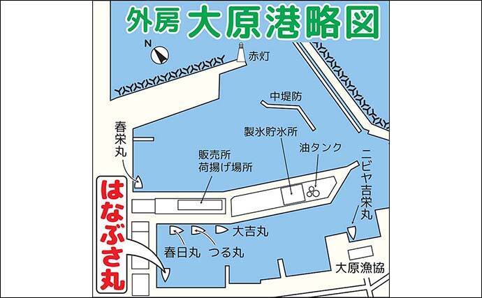外房大原沖の泳がせ釣りで5.2kg特大マハタ浮上【千葉】活イワシに大型連発
