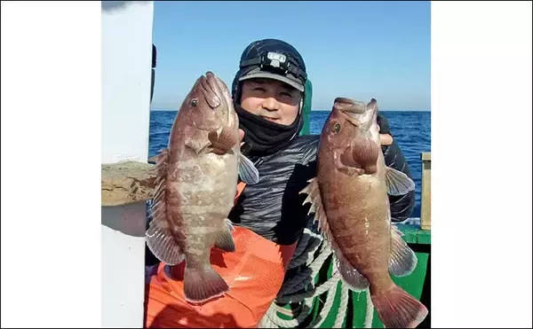 「外房大原沖の泳がせ釣りで5.2kg特大マハタ浮上【千葉】活イワシに大型連発」の画像