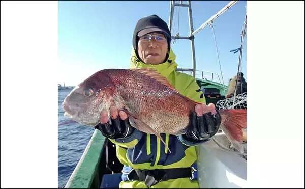 「外房大原沖の泳がせ釣りで5.2kg特大マハタ浮上【千葉】活イワシに大型連発」の画像