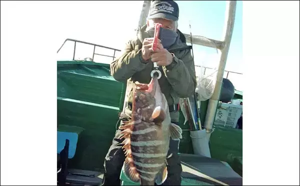 「外房大原沖の泳がせ釣りで5.2kg特大マハタ浮上【千葉】活イワシに大型連発」の画像