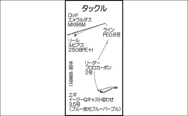 「大分国東エリアの陸っぱりエギングで1.6kg頭にアオリイカ9尾」の画像