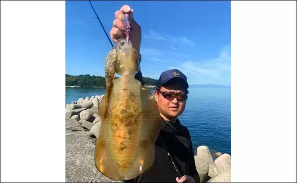 「大分国東エリアの陸っぱりエギングで1.6kg頭にアオリイカ9尾」の画像