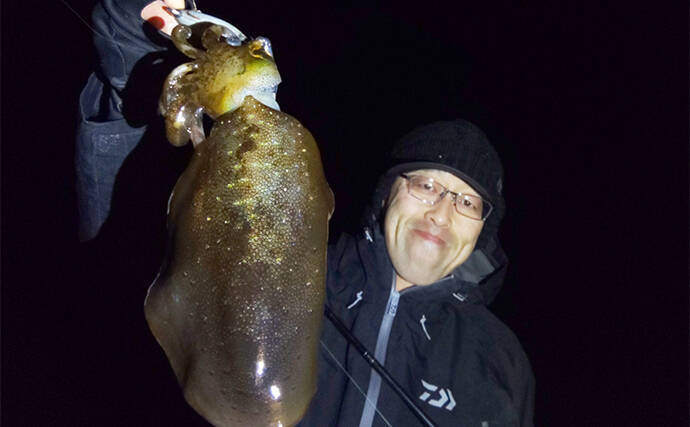 地磯エギングで500g級アオリイカ2杯キャッチ【三重】自作エギには不発
