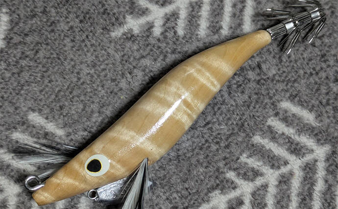 地磯エギングで500g級アオリイカ2杯キャッチ【三重】自作エギには不発