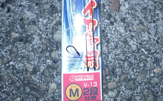 堤防アジングで釣ったアジを泳がせたらヤリイカが連発！【和歌山】