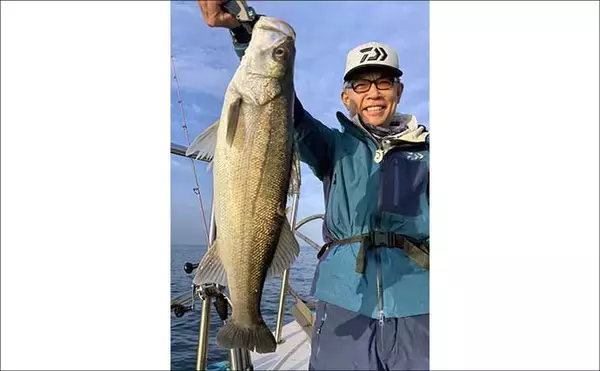 「「乗っ込みシーズン盛期！」敦賀エリアのタイラバ釣行で船中マダイ30匹超え【福井】」の画像