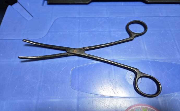ケンサキイカ狙いのイカメタル入門 【魅力・タックル・仕掛け・釣り方・持ち帰り方を解説】