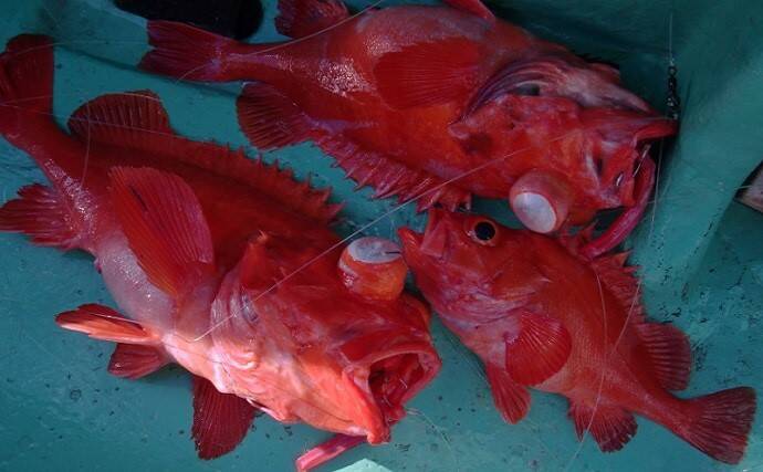お金がかかる釣り代表【深場釣り】の節約法　仕掛け小物類は大量購入＆再利用を