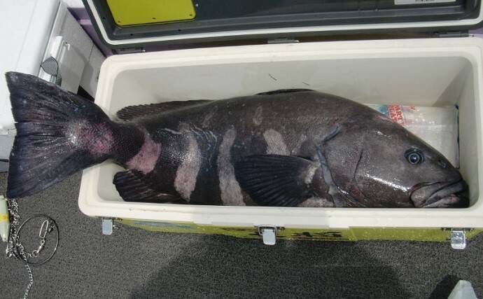 お金がかかる釣り代表【深場釣り】の節約法　仕掛け小物類は大量購入＆再利用を