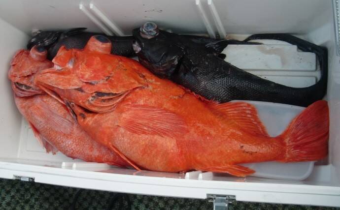 お金がかかる釣り代表【深場釣り】の節約法　仕掛け小物類は大量購入＆再利用を