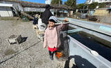 「やま喜フィッシングセンターで娘と釣りデート【神奈川】金魚釣りを堪能」の画像5