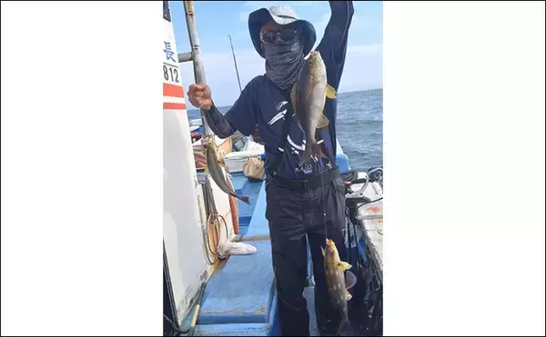 「【船のエサ釣り釣果速報】イシダイ便で60cm級含み全員安打と好調キープ（三重）」の画像