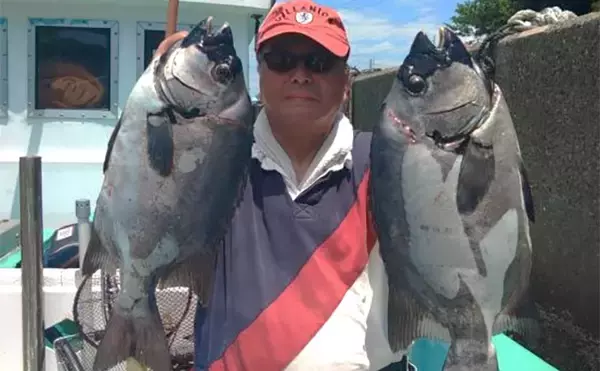 「【船のエサ釣り釣果速報】イシダイ便で60cm級含み全員安打と好調キープ（三重）」の画像