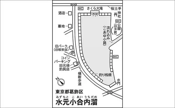 「今週のヘラブナ推薦釣り場2025【東京＆埼玉・水元小合内溜】」の画像