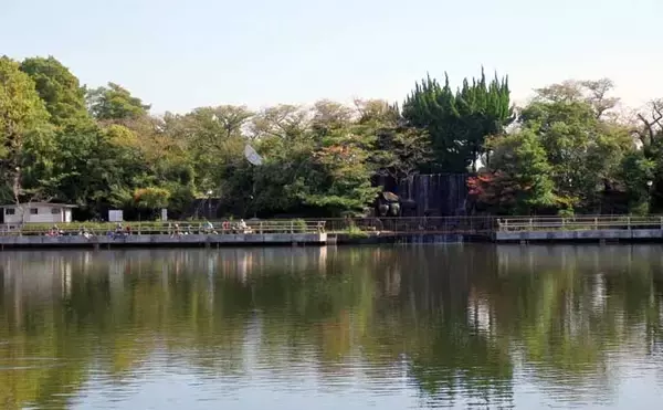 「今週のヘラブナ推薦釣り場2025【東京＆埼玉・水元小合内溜】」の画像