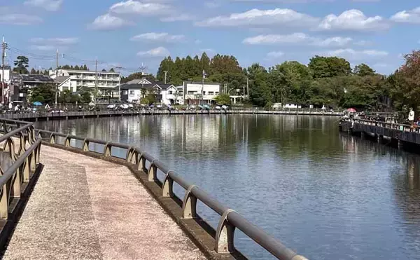 「今週のヘラブナ推薦釣り場2025【東京＆埼玉・水元小合内溜】」の画像