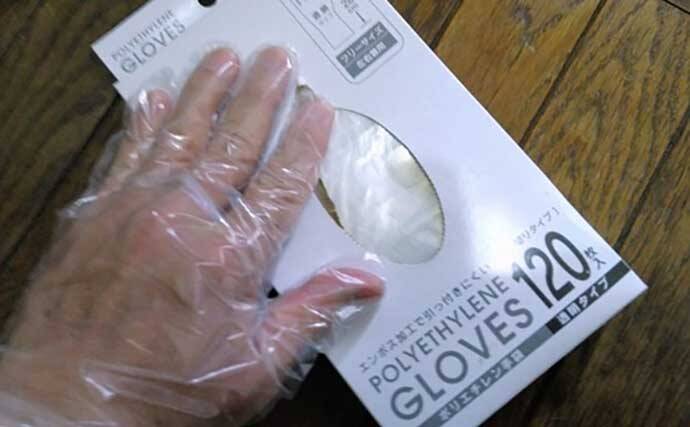 「敵はアカクラゲ？」東京湾船シロギス釣りで良型主体に37匹手中【たかはし遊船】