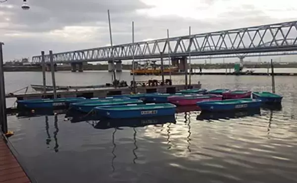 「「敵はアカクラゲ？」東京湾船シロギス釣りで良型主体に37匹手中【たかはし遊船】」の画像