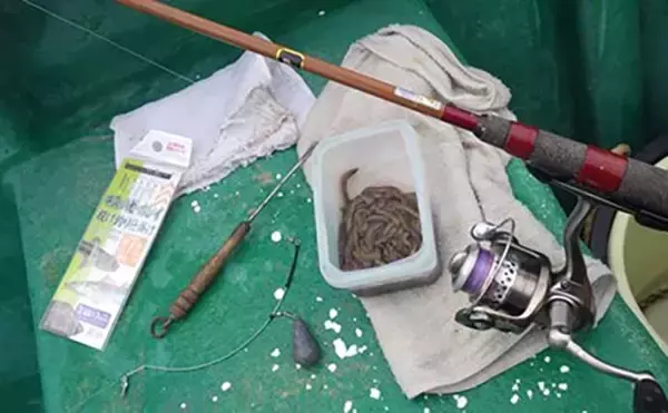 「「敵はアカクラゲ？」東京湾船シロギス釣りで良型主体に37匹手中【たかはし遊船】」の画像