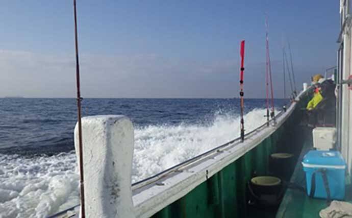 「敵はアカクラゲ？」東京湾船シロギス釣りで良型主体に37匹手中【たかはし遊船】