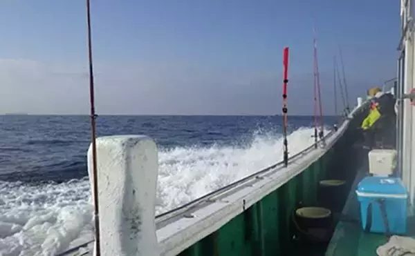 「「敵はアカクラゲ？」東京湾船シロギス釣りで良型主体に37匹手中【たかはし遊船】」の画像