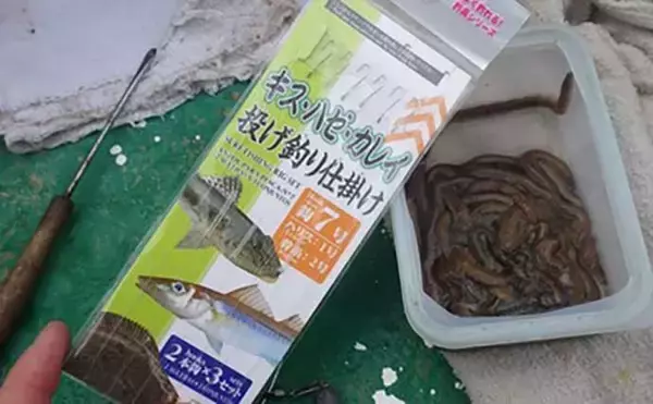 「「敵はアカクラゲ？」東京湾船シロギス釣りで良型主体に37匹手中【たかはし遊船】」の画像