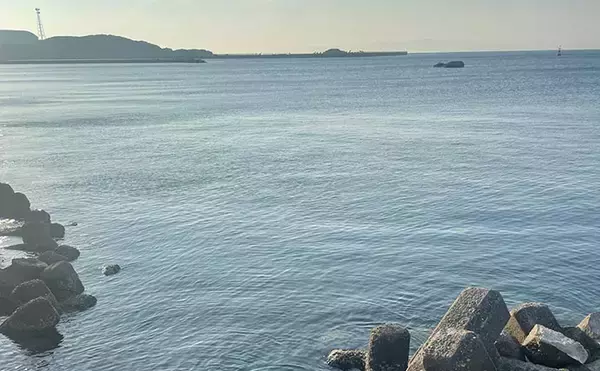「大阪湾沿岸メバリングが低調な理由を考える　春シーズンの条件が揃いきってないから？」の画像